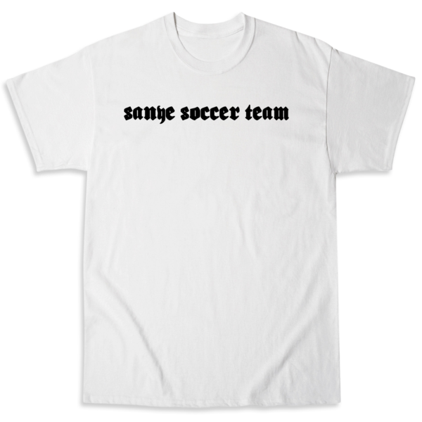 Picture of Shirts for success