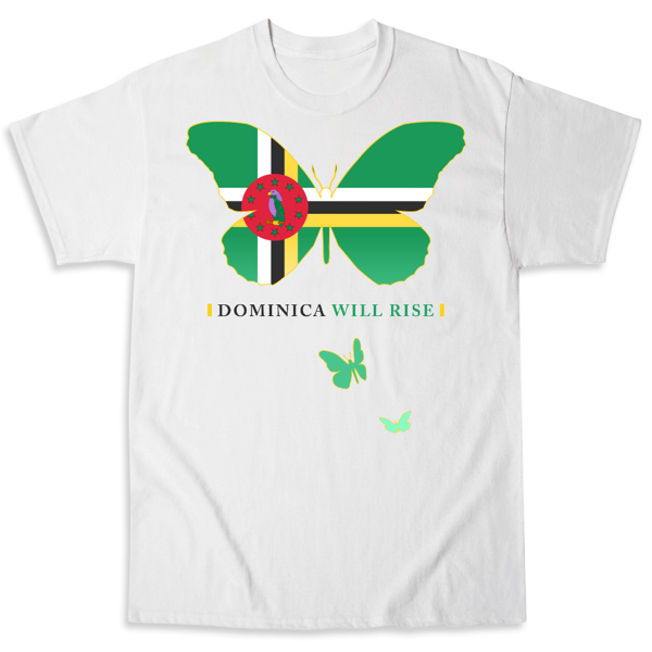 Picture of Dominica Will Rise 