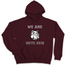 Picture of MCTC Class of 2018 Hoodies