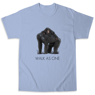 Picture of WALK AS ONE FOR CHIMPS