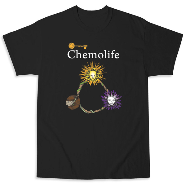 Picture of Chemolife: Synergy between chemotherapy and holistic medicine 