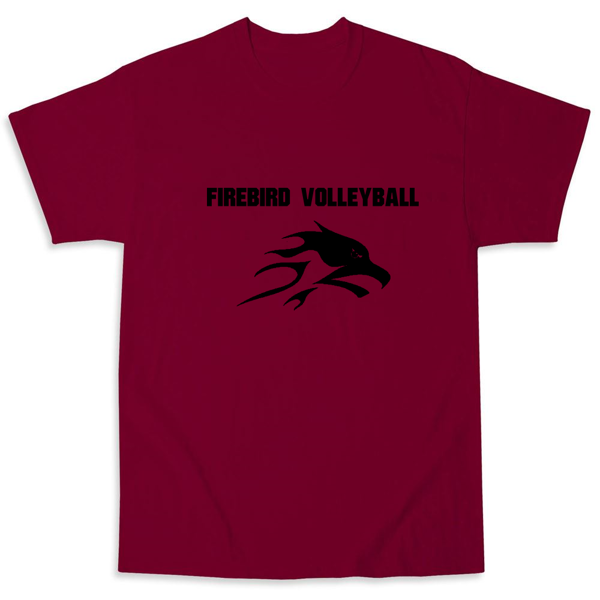Picture of Fremont High School Boys Volleyball